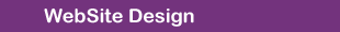 Website Design